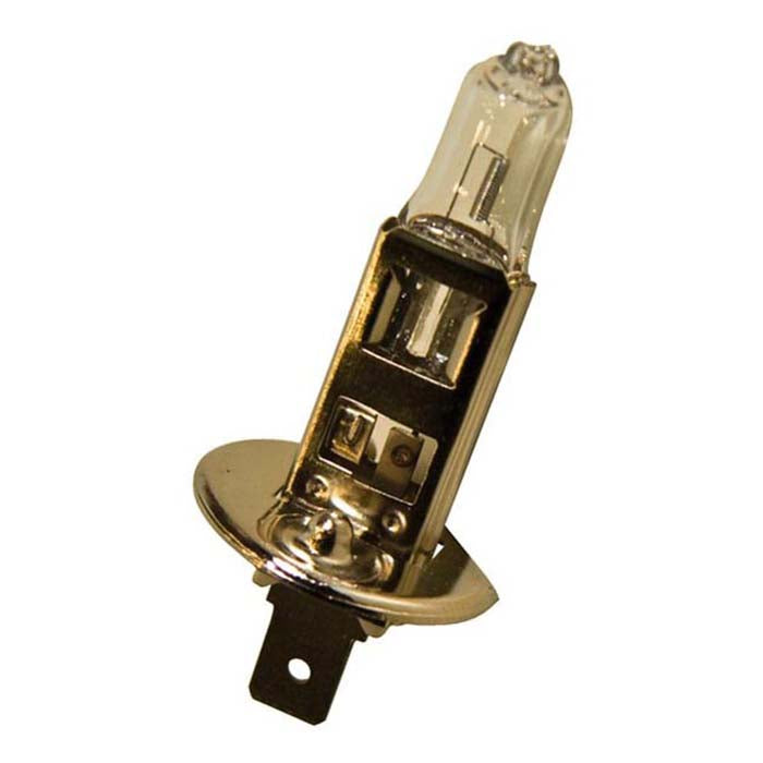 , Glühbirne H1 12V 55W 1 Stk.
