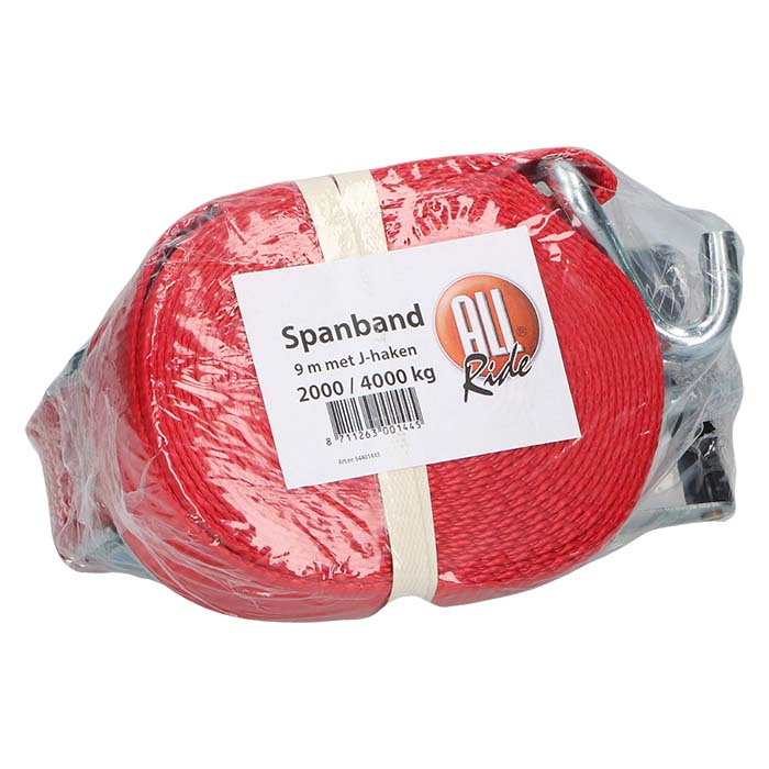 Allride, Spanband, Heavy Duty, 2 Haken, 9m, Tot 2000